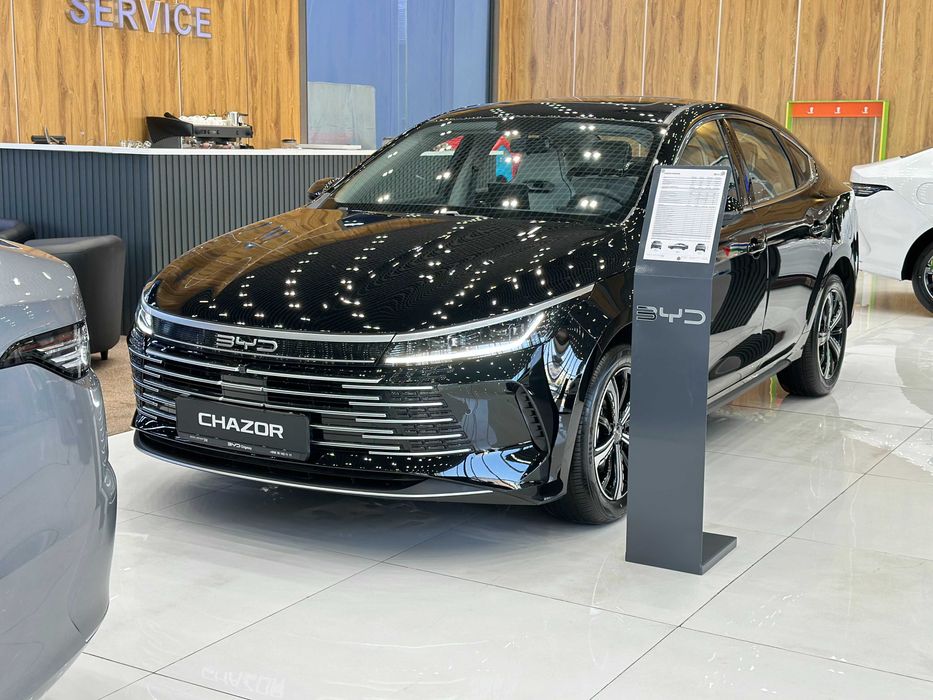 BYD Chazor Champion 120km Comfort