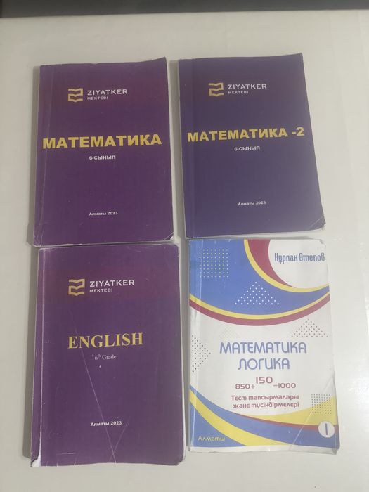 Книги школы Зияткер