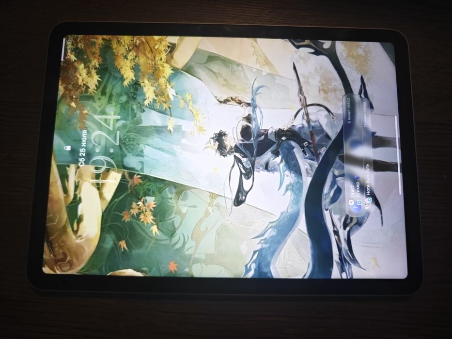 Ipad air (5-го поколения)