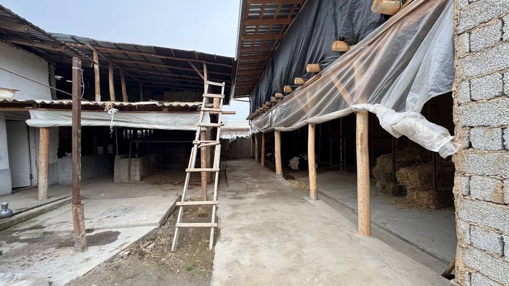 Uy  Sotiladi     Nazarbek Yoshleninchida