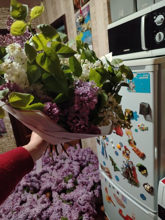 Красивые отдам на 5000