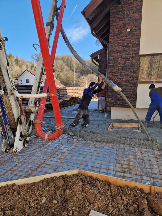 Garduri / Case / Trotuare / Alei betonate / Constructii