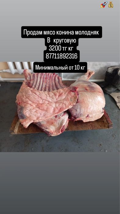 Продам мясо конины