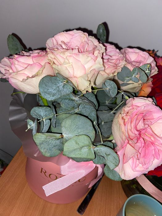 Цветы Romeo свежие