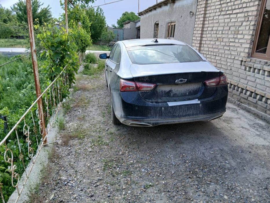 Малибо хл шот спафка