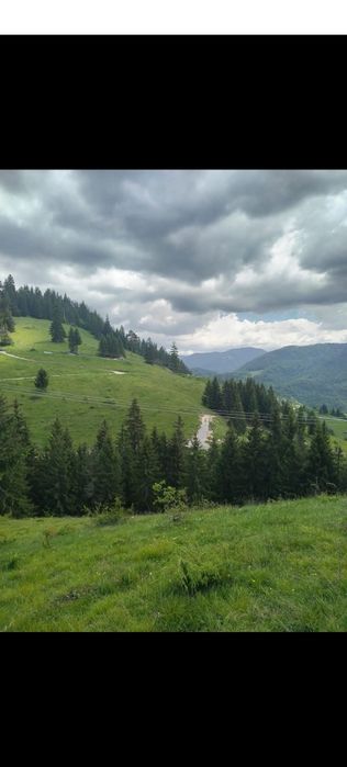 Anexa si cu teren extravilan la munte