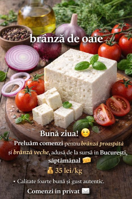 Branza de oaie