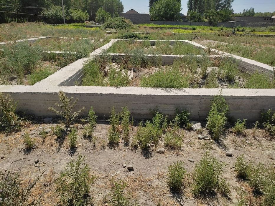 Uchastka sotiladi. Jomboy xashdala