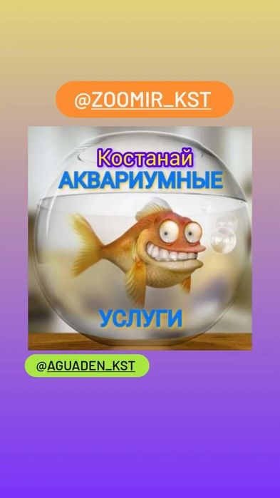 Аквариумные услуги чистка