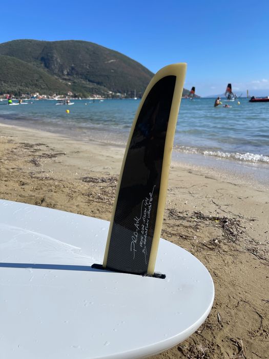 Vand placa de windsurfing Fanatic Shark 145 l