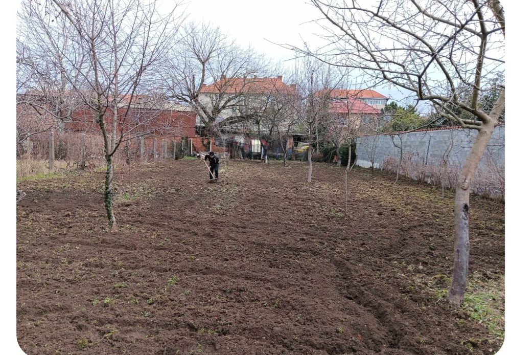 Defrișări vegetatii, intretinere,spații verzi