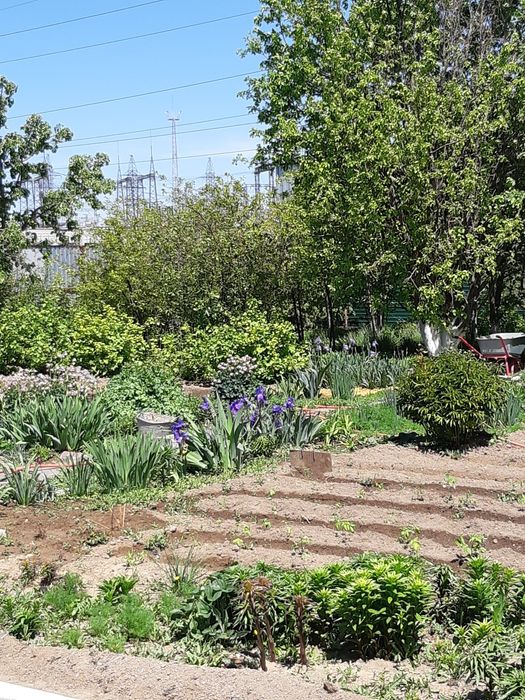 Продам дом срочно