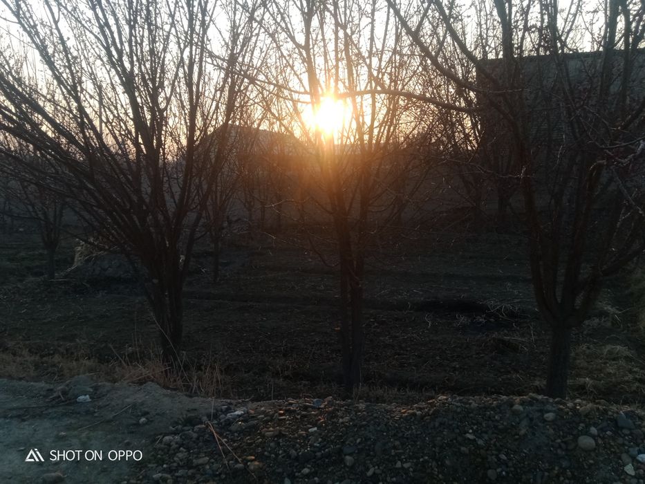 7 sotixli yer sotiladi yuli bn birga Tavoisda narxini keliwamiz