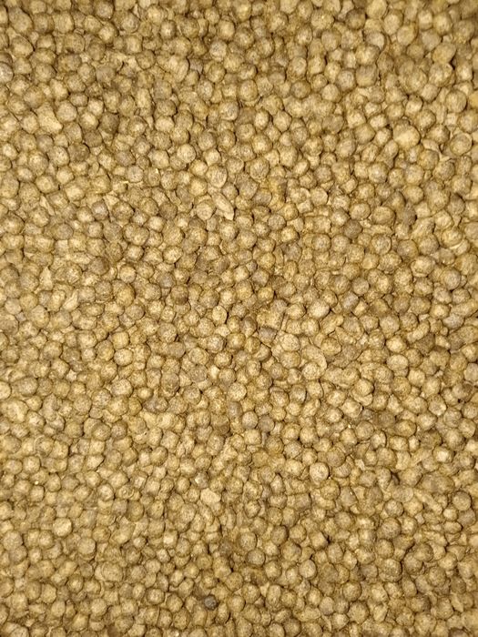 Корм для  рыб форель, карповые, осётр