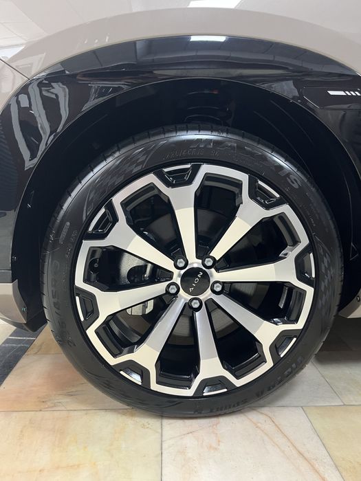 Gac aion v 650 km