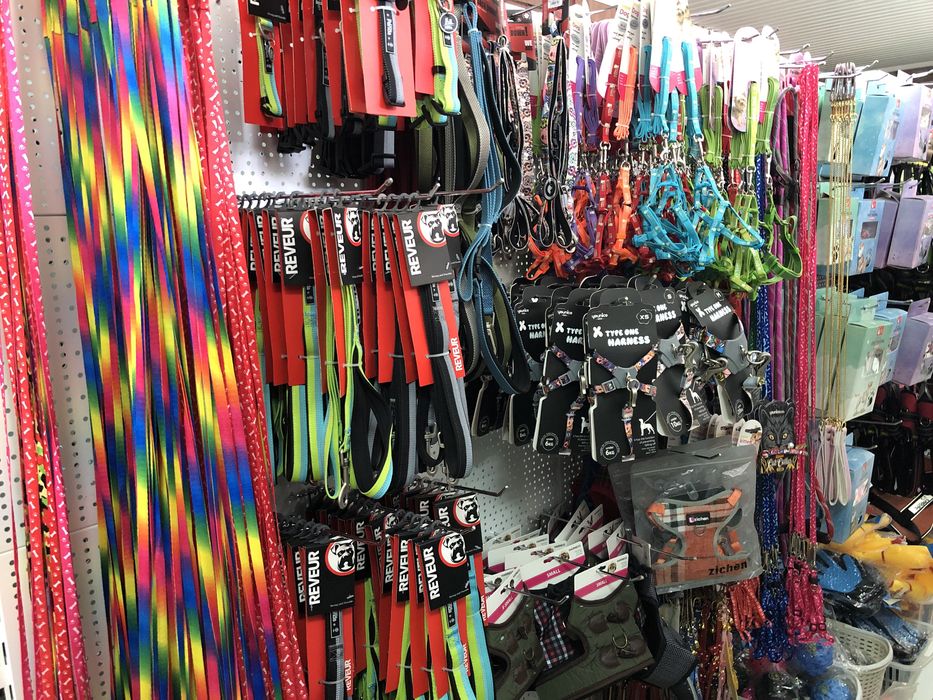 Шлейка для маленьких собак и кошек