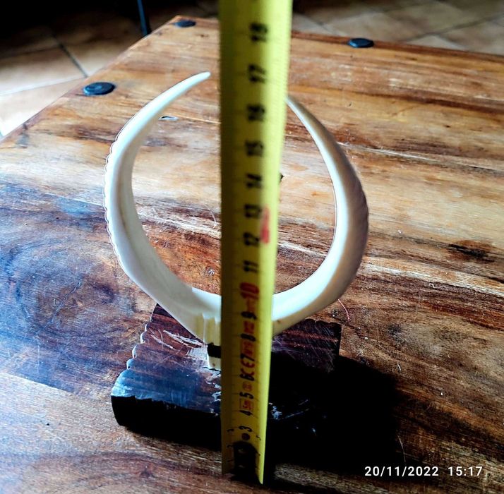 Ръчно изработена декорация, кост