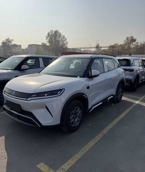 byd yuan up vikub bor