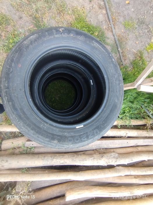 Bars balon razmer 16