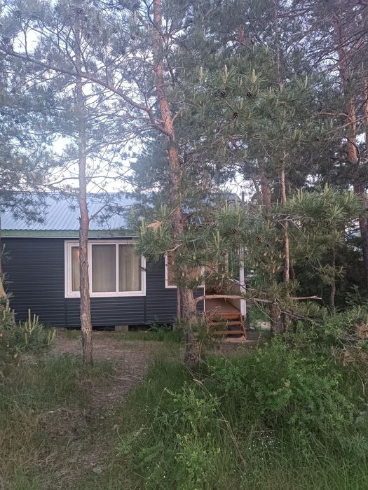 Сдам дома на бухтарме