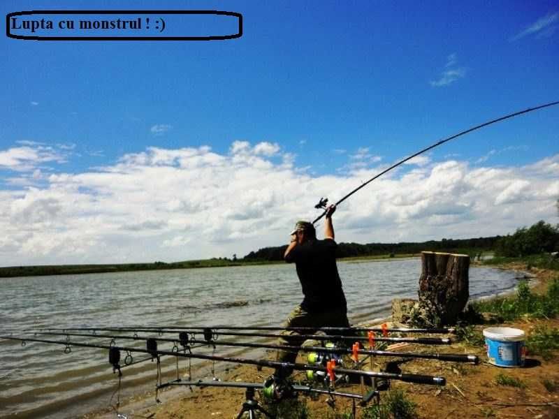 Teren intravilan  7300 m2 Bratesti Targoviste Dambovita deschidere lac