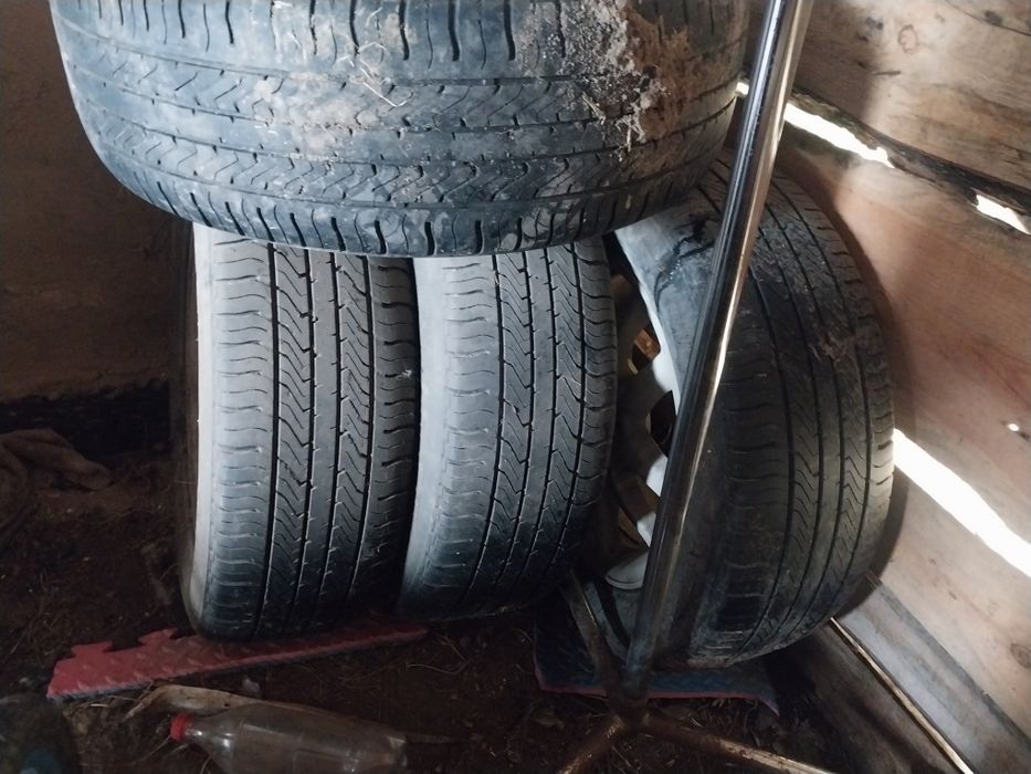 Дөңгелек саламын