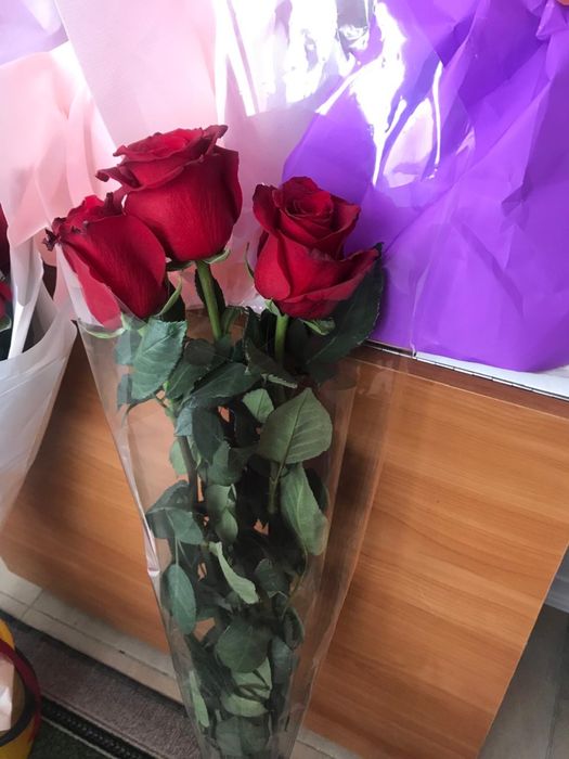 Продам цветы.