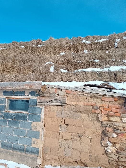 Шөп сатам тюковой.