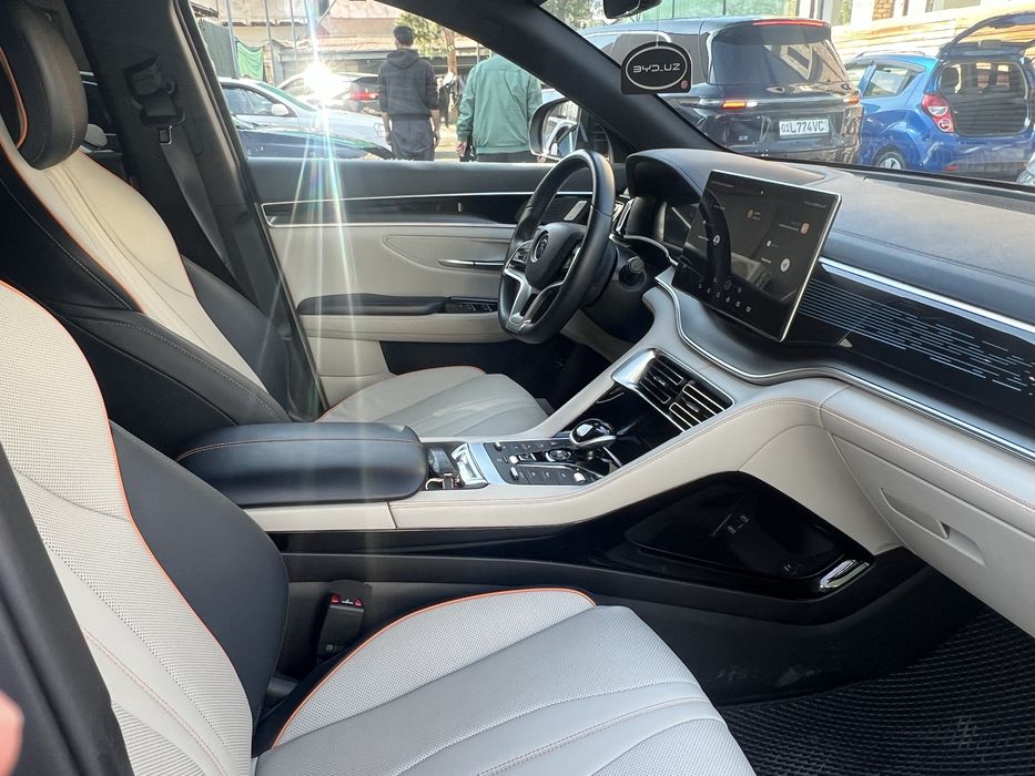 Byd song plus  Flagship 505