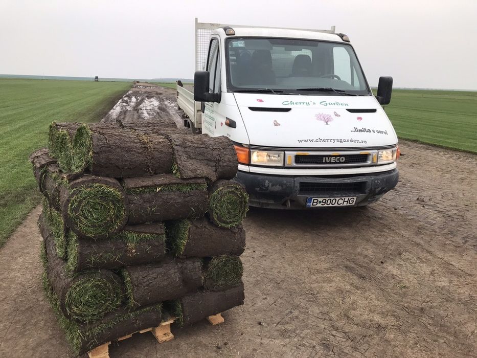 Rulouri de gazon rulou role gazon rulouri