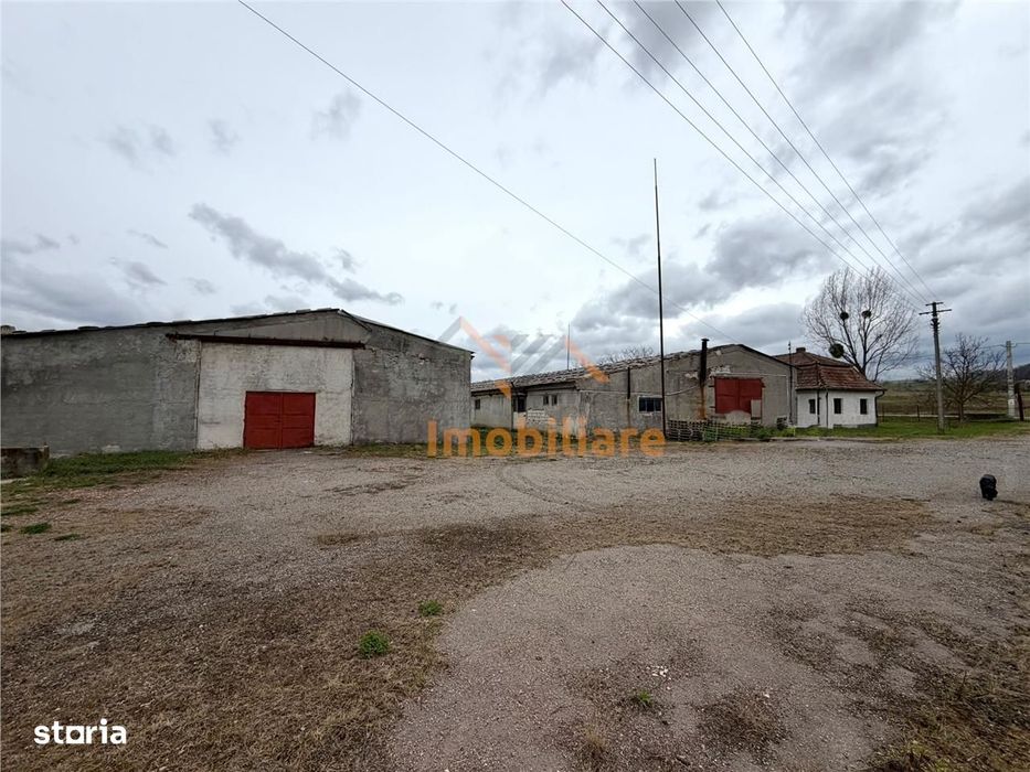 Hale Industriale | Cladire Birouri | Teren 7000 Mp | Gheghie Bihor
