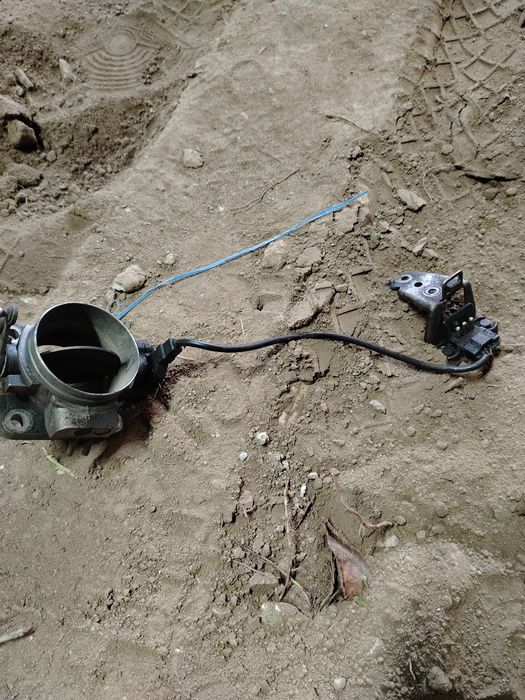 Дросс. Засл. М. 124