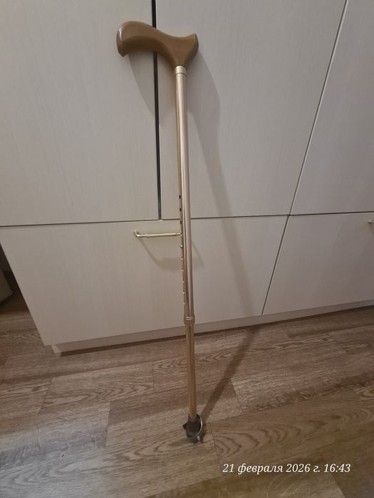 Трость регулируемая с шипом