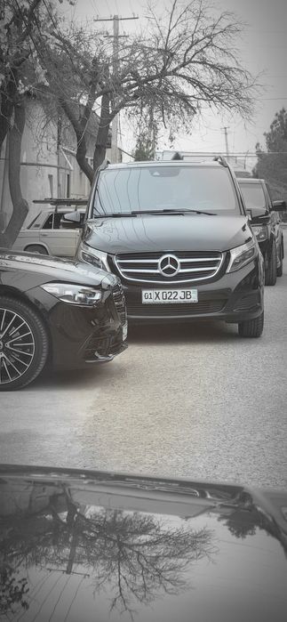 Свадебный Кортеж Туй мошиналари