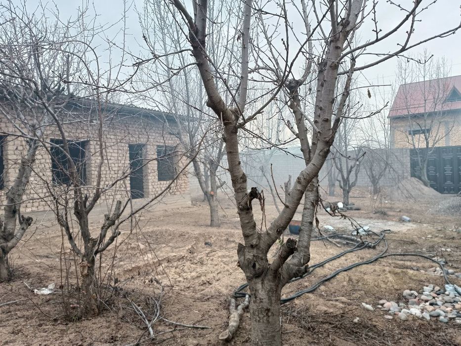 Ховли сотилади 24 соток 9 хона 275000$