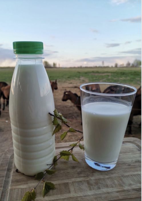 Қолдың сүті сатылады, домашнее молоко