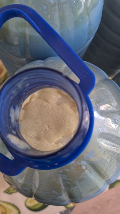 Қажымұқан қымызы