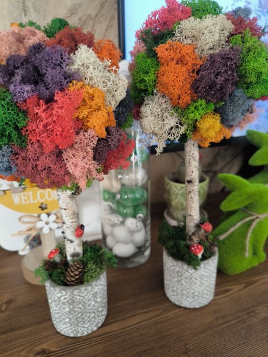 Картини със скандинавски мъх