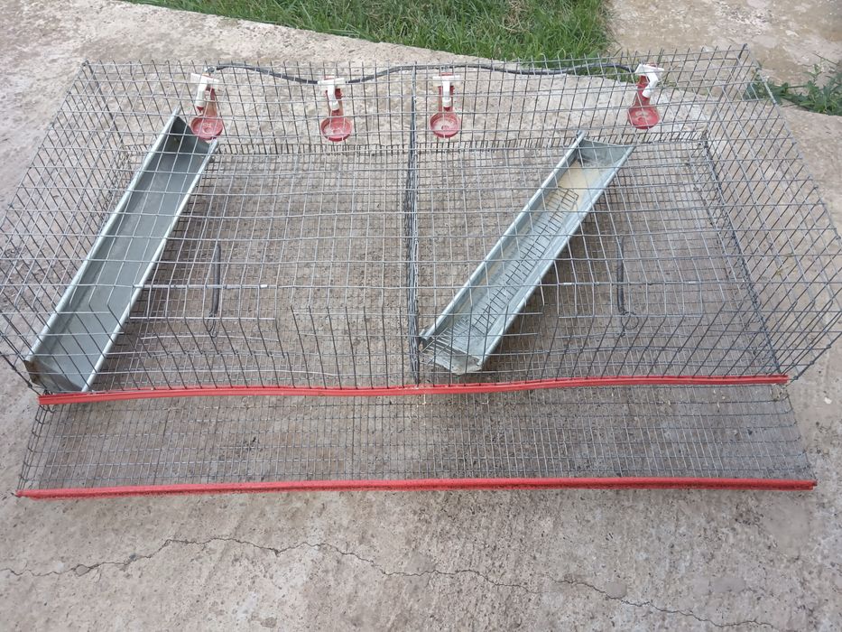 Cusca prepelite ouatoare de 80/ Cusca crestere tineret prepelite/gaina