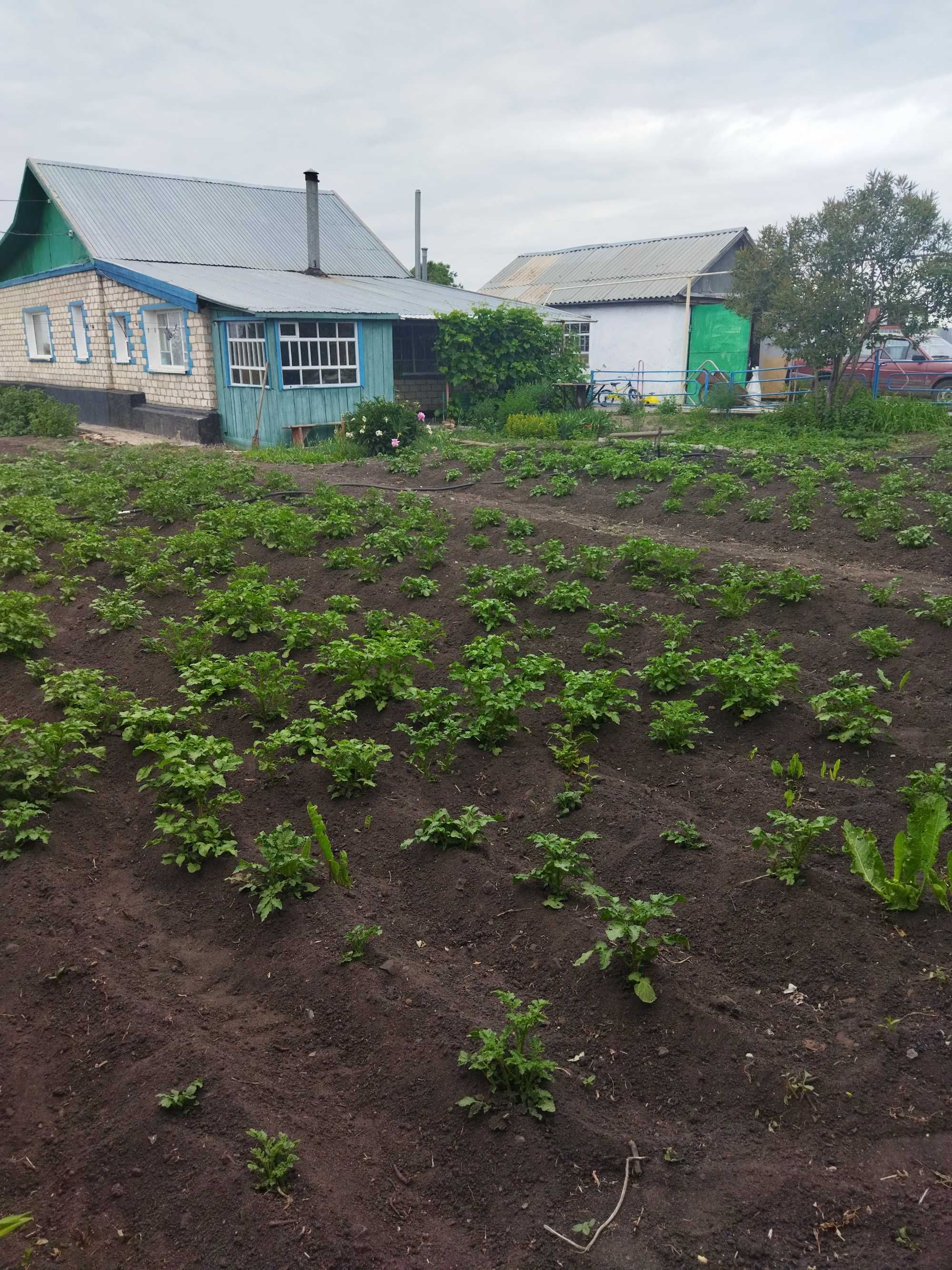 Продам дом г Лисаковск п Октябрьский ул Набережная: 11 500 000 тг. -  Продажа домов Лисаковск на Olx