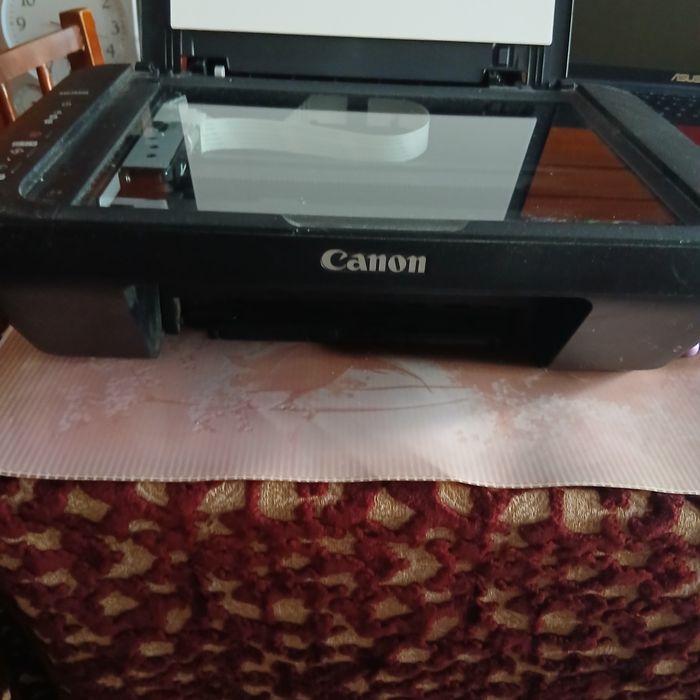 Imprimanta Canon Pixma MG2550S