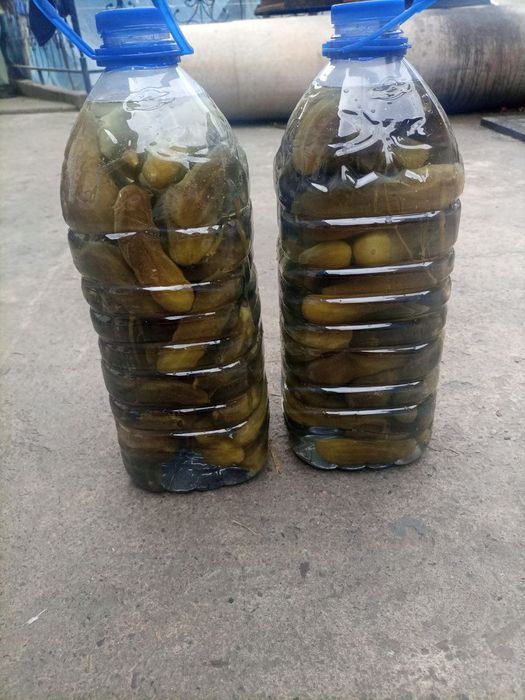 Tuzlangan bodring sotiladi