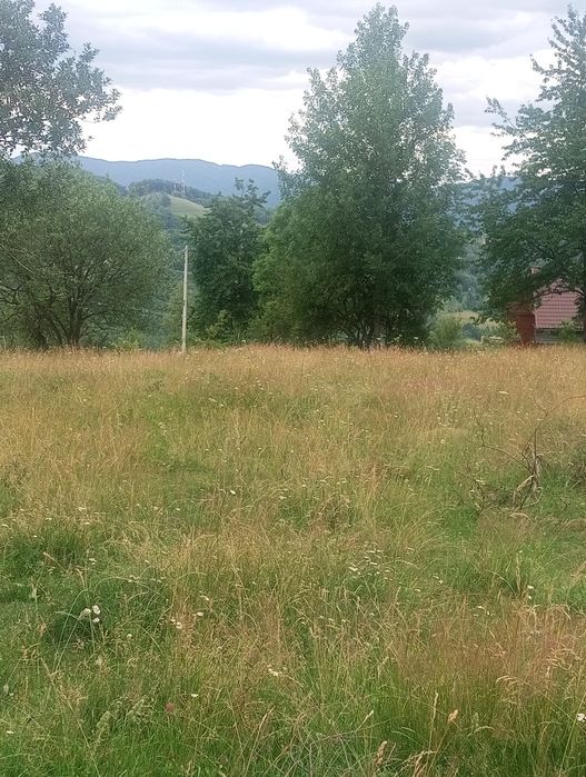 Teren Apuseni parcele
