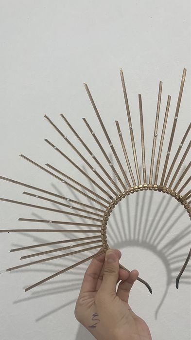 Золотая диоедема