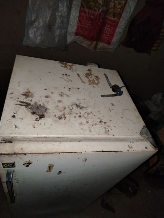 Халаденик Saz vapshe