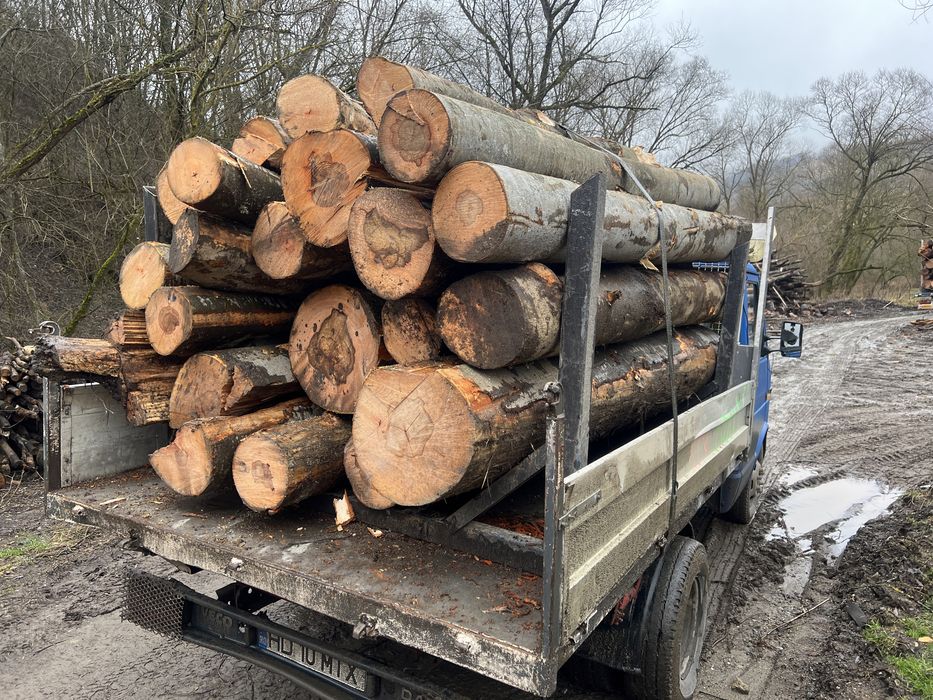 Lemn de foc  DOAR FAG 3,6 cub