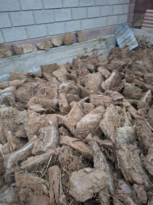 Қойдың көңі сатылады