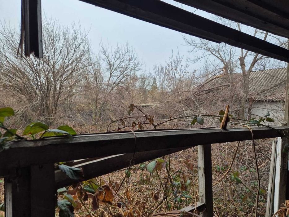 Шифер / Материалы с дома