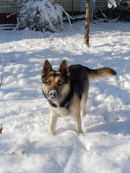 Кабель готов к вязке(копайтириш)