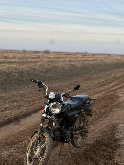 Альфа рейсер 110